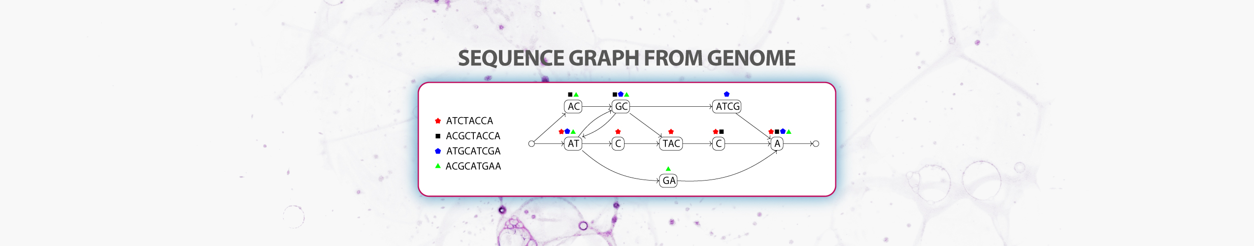 sequence graph from genome