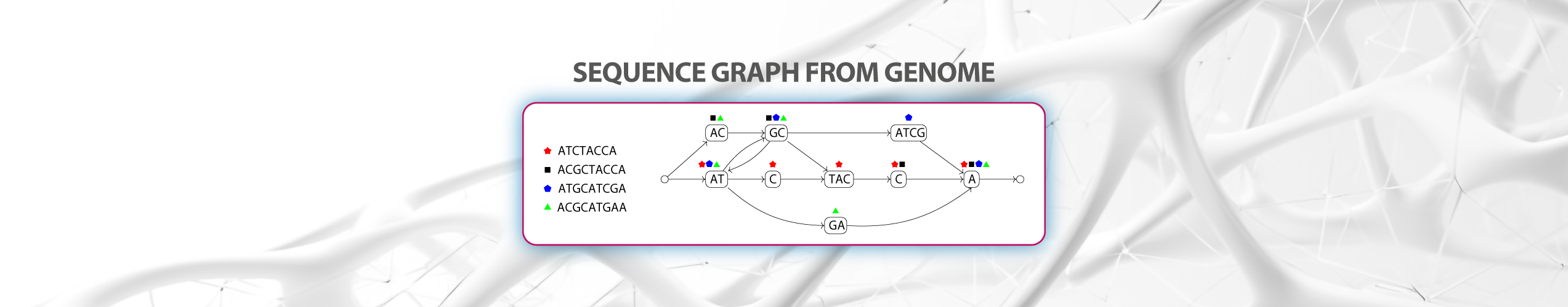 sequence graph from genome